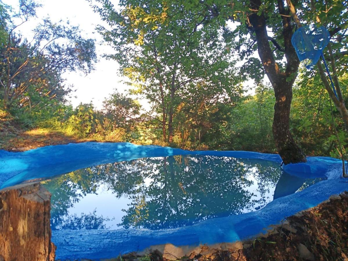 Bed and Breakfast @Gatetothewild à Coreglia Ligure Extérieur photo