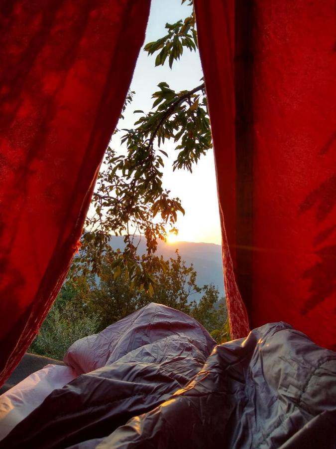 Bed and Breakfast @Gatetothewild à Coreglia Ligure Extérieur photo