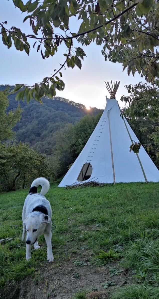 Bed and Breakfast @Gatetothewild à Coreglia Ligure Extérieur photo